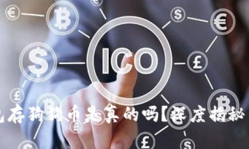 小狐狸钱包存狗狗币是真的吗?深度揭秘与使用指南