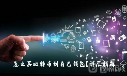 怎么买比特币到自己钱包?详尽指南