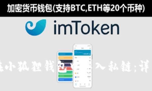 如何在小狐狸钱包中导入私链:详细指南