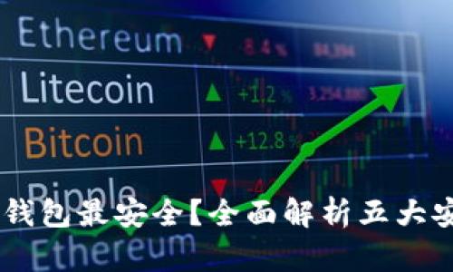 存USDT哪个钱包最安全?全面解析五大安全钱包选项