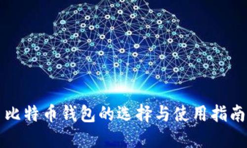 比特币钱包的选择与使用指南