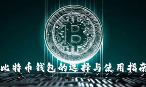 比特币钱包的选择与使用指南