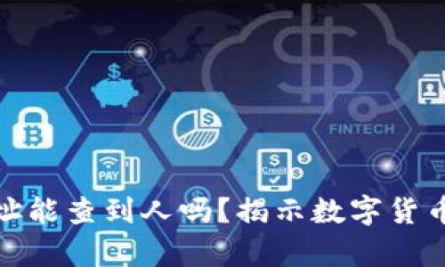 泰达币钱包地址能查到人吗?揭示数字货币隐私与安全性