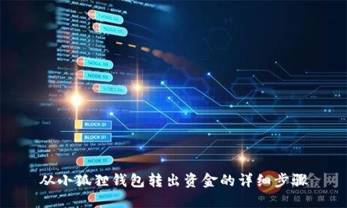 从小狐狸钱包转出资金的详细步骤