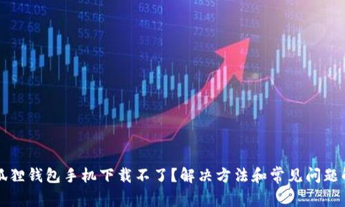 小狐狸钱包手机下载不了？解决方法和常见问题解析