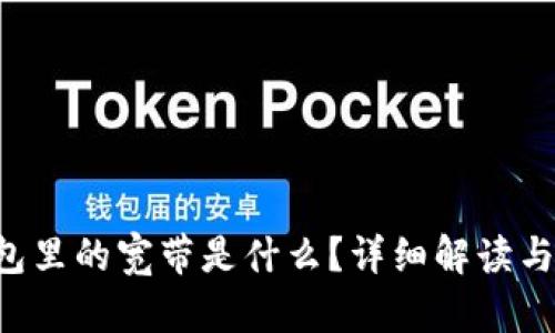 : TRX钱包里的宽带是什么？详细解读与使用指南