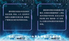 支持TRC20 USDT的钱包推荐与