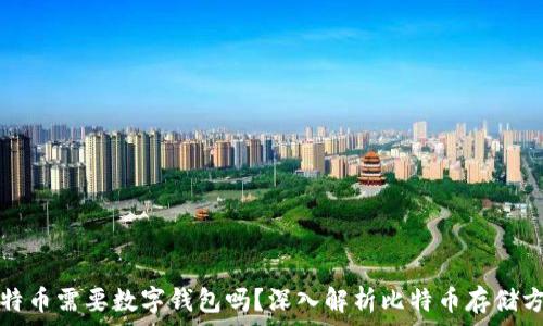   
比特币需要数字钱包吗？深入解析比特币存储方式
