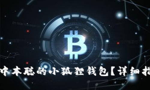 如何找到中本聪的小狐狸钱包？详细指南与技巧