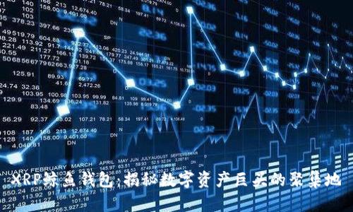 XRP鲸鱼钱包：揭秘数字资产巨头的聚集地