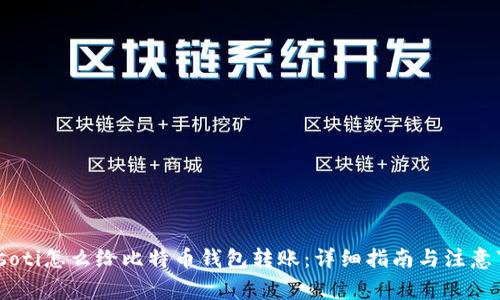 biasoti怎么给比特币钱包转账：详细指南与注意事项