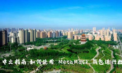 MetaMask 中文指南：如何使用 MetaMask 钱包进行数字资产管理