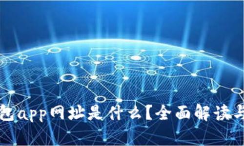 小狐狸钱包app网址是什么？全面解读与使用指南