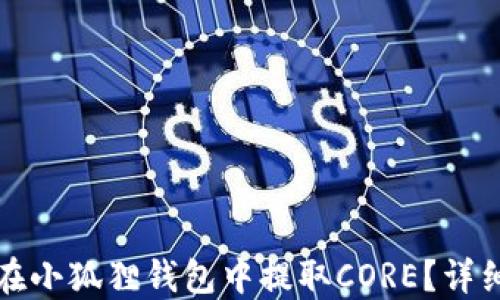 
如何在小狐狸钱包中提取CORE？详细指南