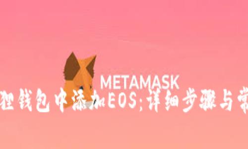 如何在小狐狸钱包中添加EOS：详细步骤与常见问题解答