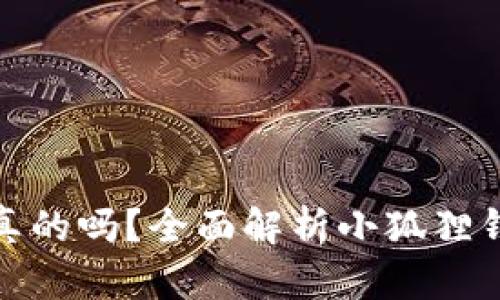 小狐狸钱包里面的藏品是真的吗？全面解析小狐狸钱包的资产安全性与真实性