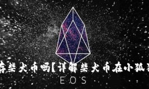 小狐狸钱包能存柴犬币吗？详解柴犬币在小狐狸钱包中的应用