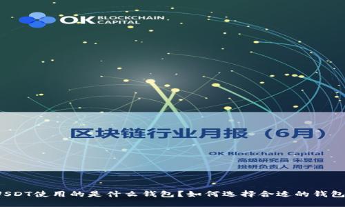 USDT使用的是什么钱包？如何选择合适的钱包？