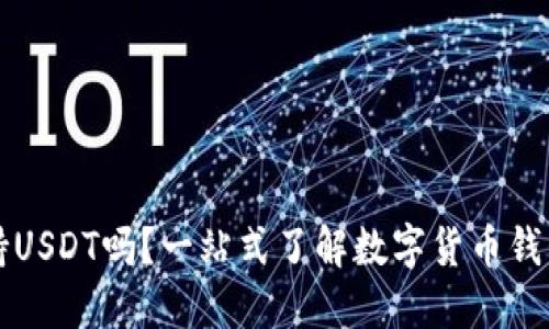 小狐狸钱包支持USDT吗？一站式了解数字货币钱包的选择与使用