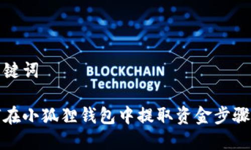 和关键词

如何在小狐狸钱包中提取资金步骤详解