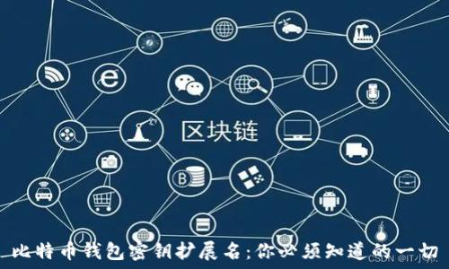   
比特币钱包密钥扩展名：你必须知道的一切