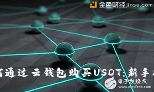 如何通过云钱包购买USDT：新手指南