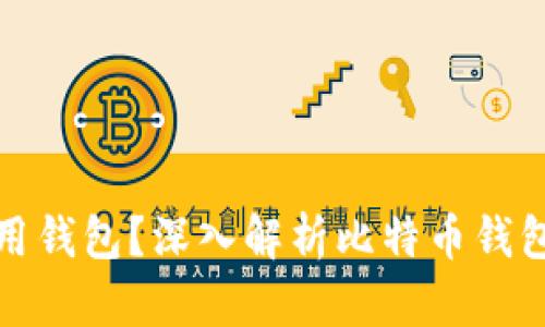 比特币为什么要用钱包?深入解析比特币钱包的必要性和选择