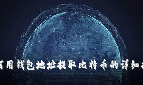 如何用钱包地址提取比特币的详细指南