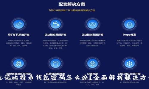 忘记比特币钱包密码怎么办？全面解析解决方案