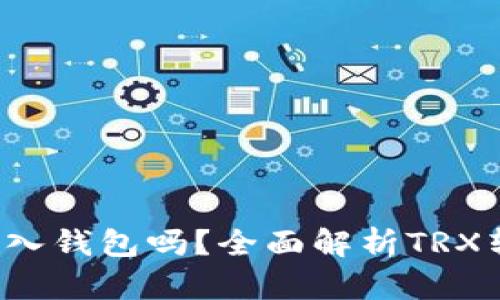 TRX可以转入钱包吗？全面解析TRX转账与存储