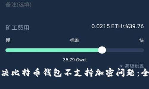 如何解决比特币钱包不支持加密问题:全面指南
