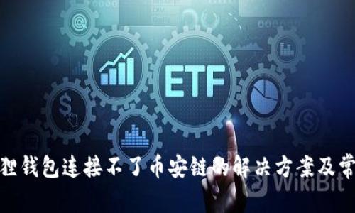 : 小狐狸钱包连接不了币安链的解决方案及常见问题