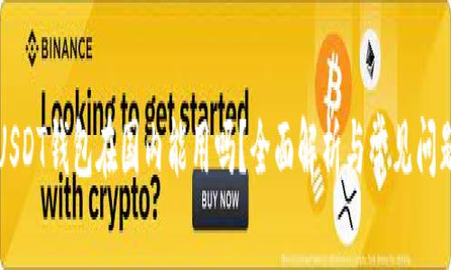 USDT钱包在国内能用吗?全面解析与常见问题
