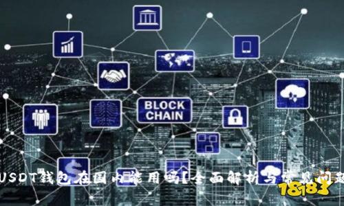 USDT钱包在国内能用吗?全面解析与常见问题