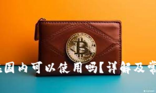 USDT钱包在国内可以使用吗？详解及常见问题解析