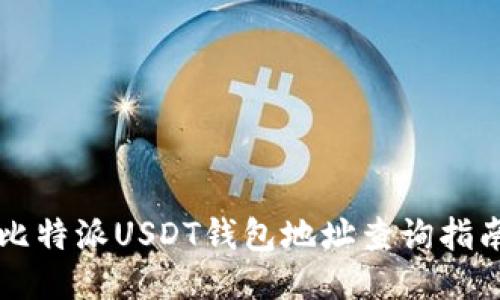 比特派USDT钱包地址查询指南