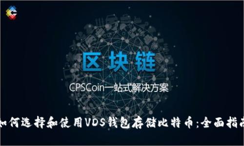 如何选择和使用VDS钱包存储比特币:全面指南