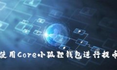 如何使用Core小狐狸钱包进