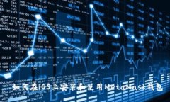  如何在iOS上安装和使用