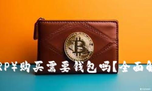 瑞波币（XRP）购买需要钱包吗？全面解析及建议