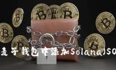 如何在麦子钱包中添加S
