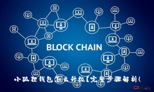 小狐狸钱包怎么升级？完整步骤解析！