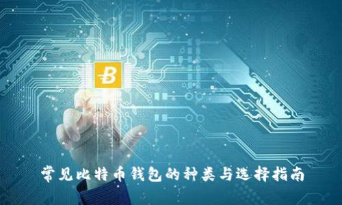 常见比特币钱包的种类与选择指南