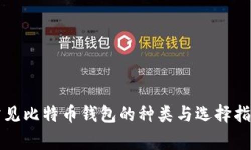 常见比特币钱包的种类与选择指南