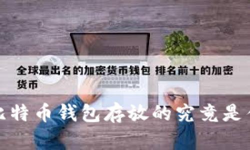 issao比特币钱包存放的究竟是什么币？