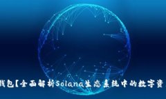 什么是Sol钱包？全面解析