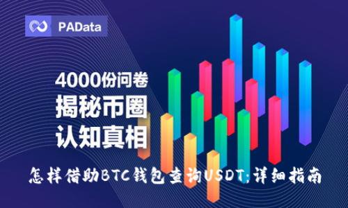 怎样借助BTC钱包查询USDT：详细指南