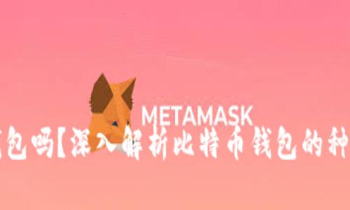 比特币能放钱包吗？深入解析比特币钱包的种类与使用方法