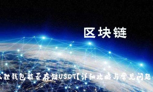 小狐狸钱包能否存储USDT？详细攻略与常见问题解答