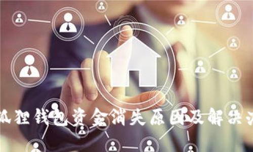 小狐狸钱包资金消失原因及解决办法